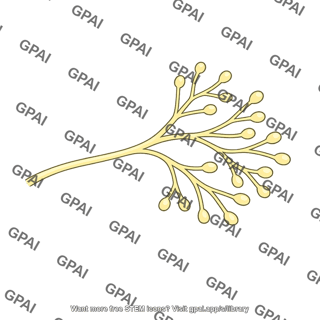 Nerve terminal branch