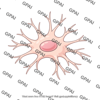 Dendritic cell