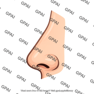 Nose profile