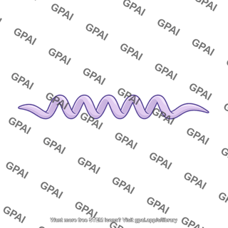 Bacterium spirochete