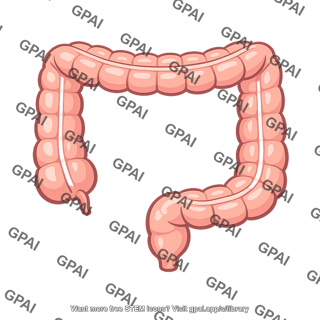 Colon