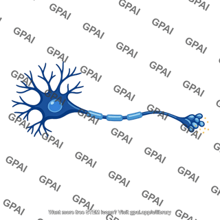 Neuron