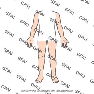 Body periphery