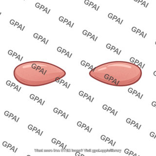 Paired amygdalae
