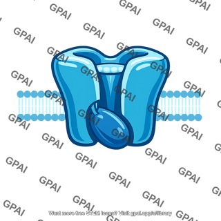 Voltage gated sodium channel inactivated