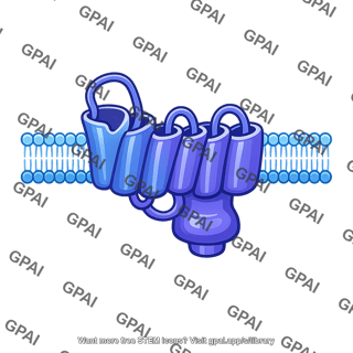 Serotonin receptor