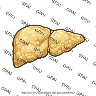 Liver acute yellow atrophy