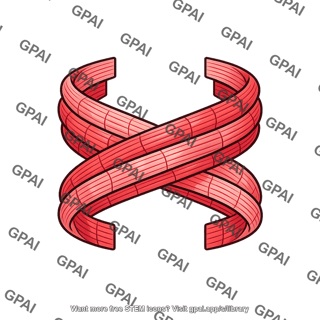 Cardiac muscle double spiral