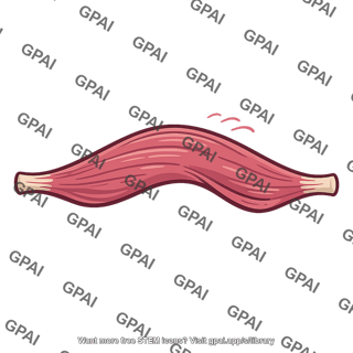 Skeletal muscle