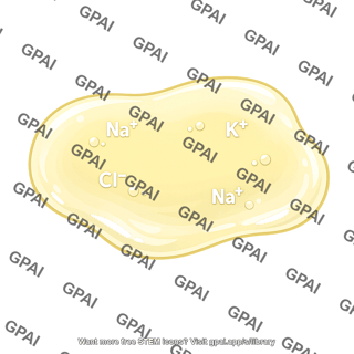 Renal interstitial fluid