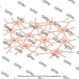 Osteocytic membrane system