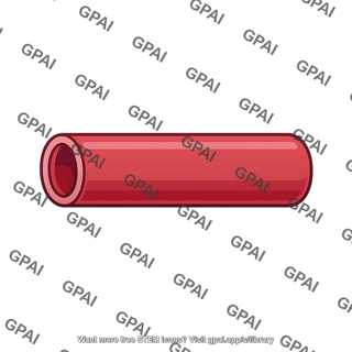 Blood vessel
