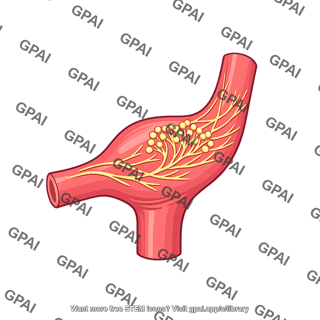 Carotid baroreceptor