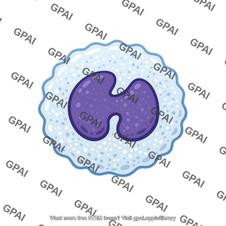 Blood leukocyte