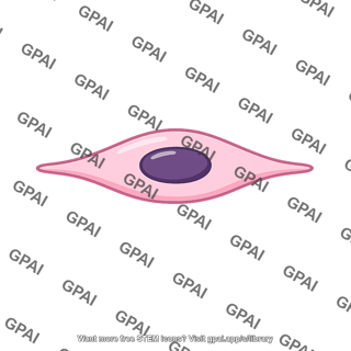 Osteoprogenitor cell