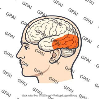 Temporal region