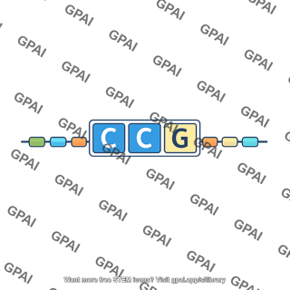 Codon