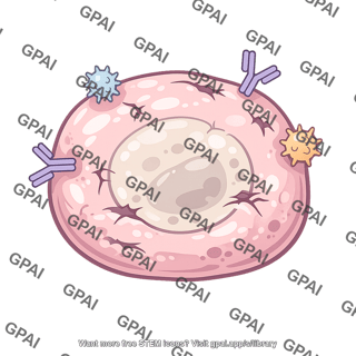 Cell attacked