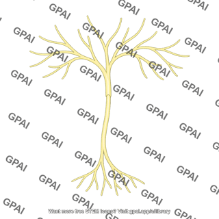 Pain receptor free nerve ending