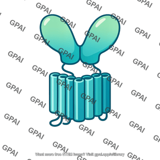 T1r2 receptor