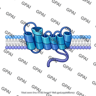 Metabotropic receptor