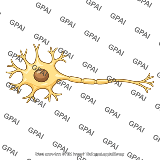 Second order neuron