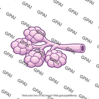 Airway gland