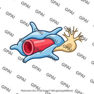 Neurovascular unit