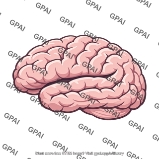 Human brain