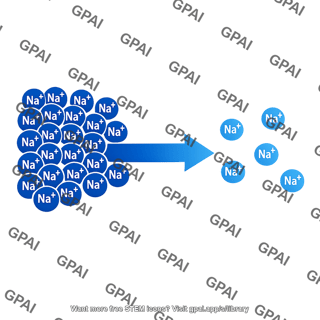 Sodium ionic gradient