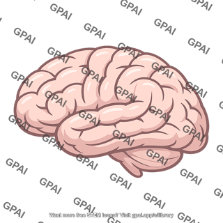 Brain hemisphere lateral view