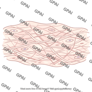 Connective tissue loose