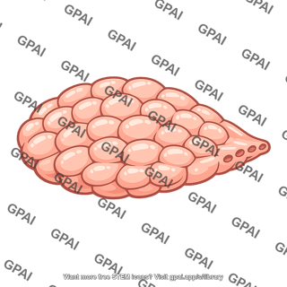 Lacrimal gland