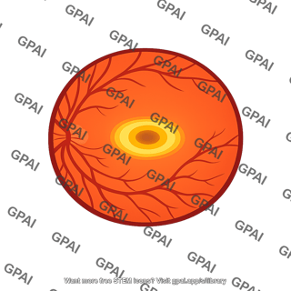 Macula retina