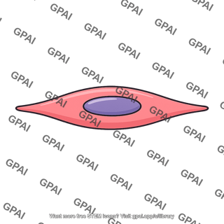 Vascular smooth muscle cell