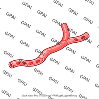 Peritubular capillary