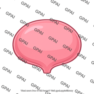 Bladder body