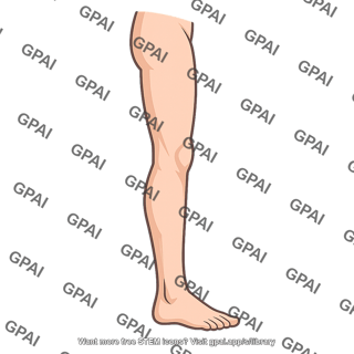Left leg