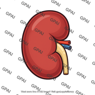 Kidney