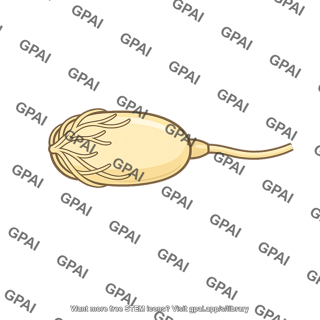 Low pressure receptor capsule like