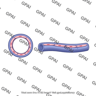 Postcapillary venule