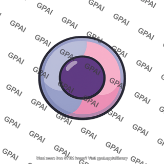 Polychromatophil erythroblast