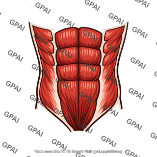 Abdominal muscle contracted