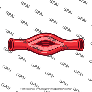 Vasodilated arteriole