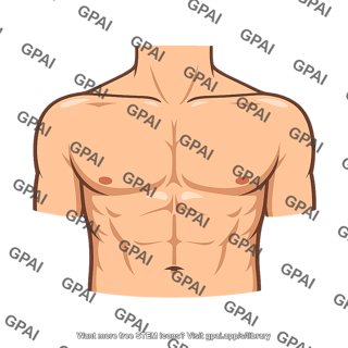 Chest pectoral region