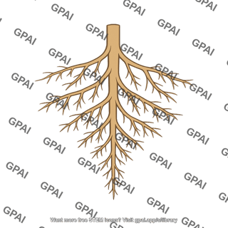 Plant root