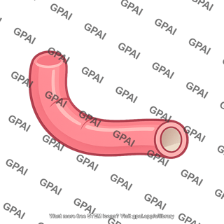 Gut segment