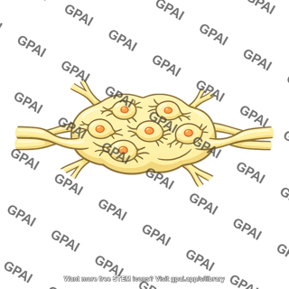 Peripheral ganglion