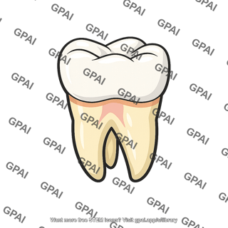 Wisdom tooth
