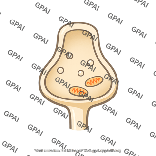 Presynaptic terminal exhausted